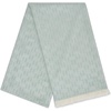 image:imageKARL LAGERFELD Womens Logo Lightweight PashminaFresh Mint