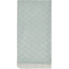 image:imageKARL LAGERFELD Womens Logo Lightweight PashminaFresh Mint